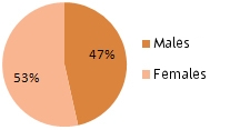 Pie Chart - Genders